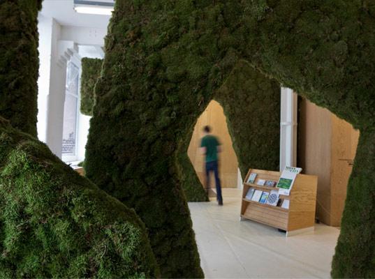 Proiectul "Moss Your City"