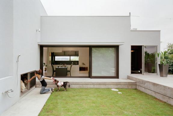 Proiecte case mici. Casa little
