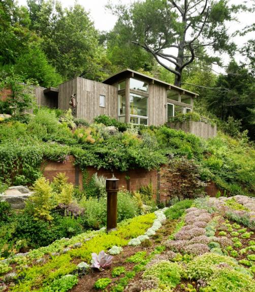 Cabanele din Mill Valley, California