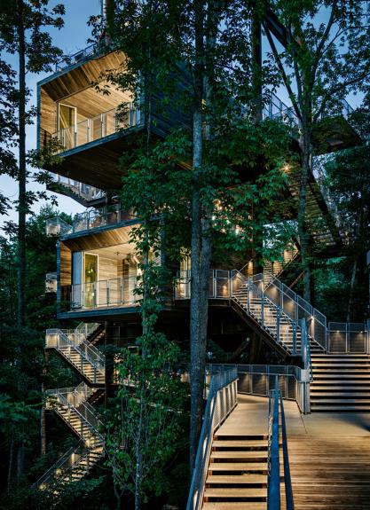 Proiectul Treehouse surprinde frumusetea explorarilor din copilarie