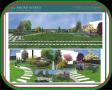 green design green design