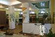 Showroom Parchet pe Viata- Interiology Showroom Parchet pe Viata- Interiology